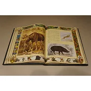 Настольная книга охотника — книга для мужчины — фотография 4