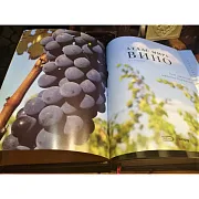 Атлас мира вино в футляре — книга для мужчины — фотография 6